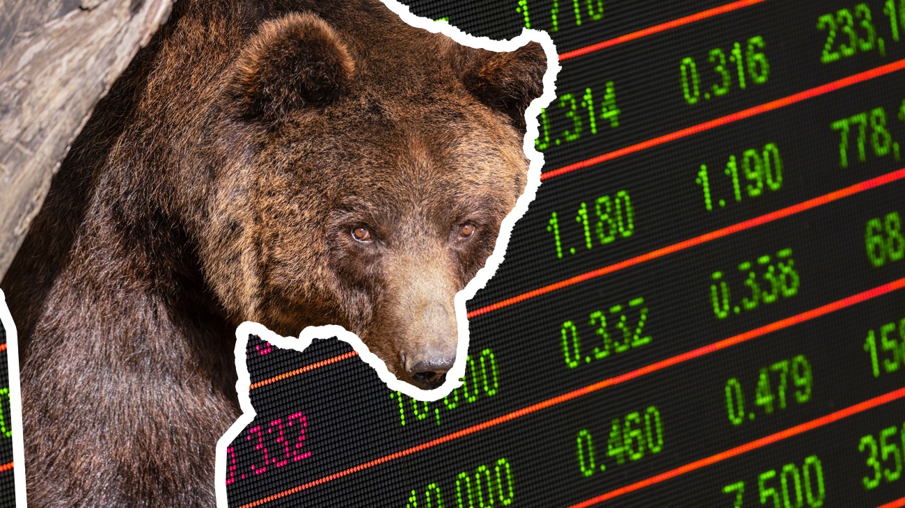 The bear market