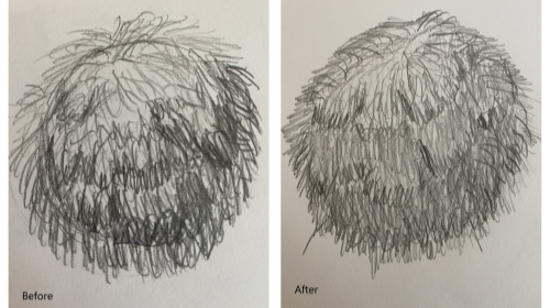 Before and after furballs