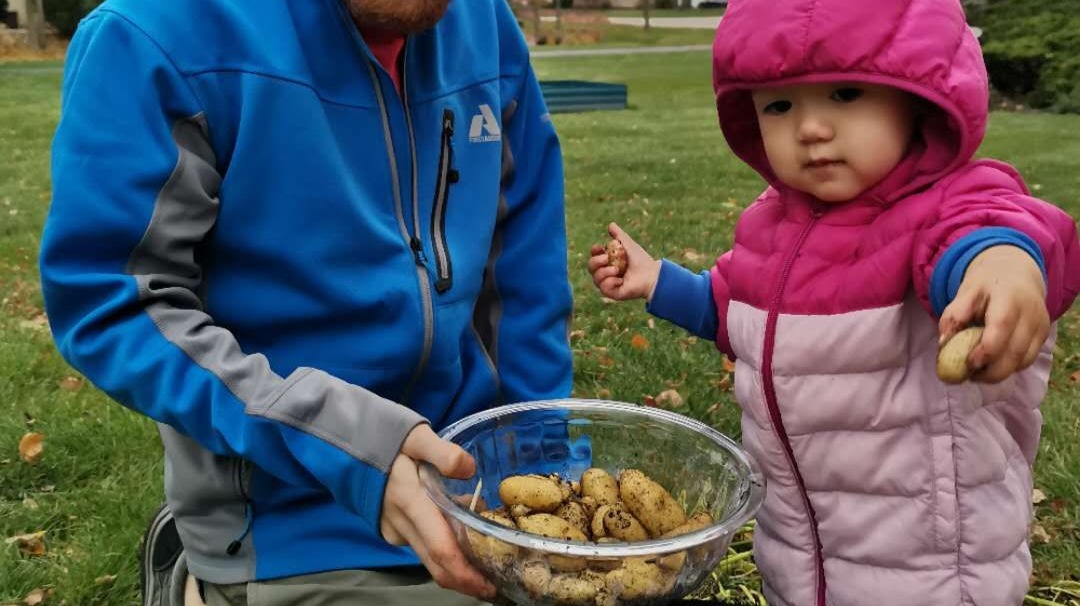 potatoes!