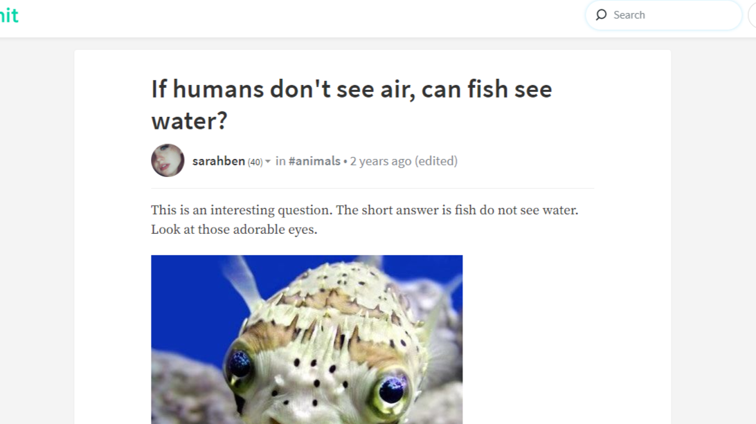 "CAN FISH SEE WATER," Ranks 5 For Traffic to Steemit!?!?