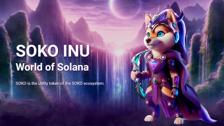SOKO INU - Solana vikings