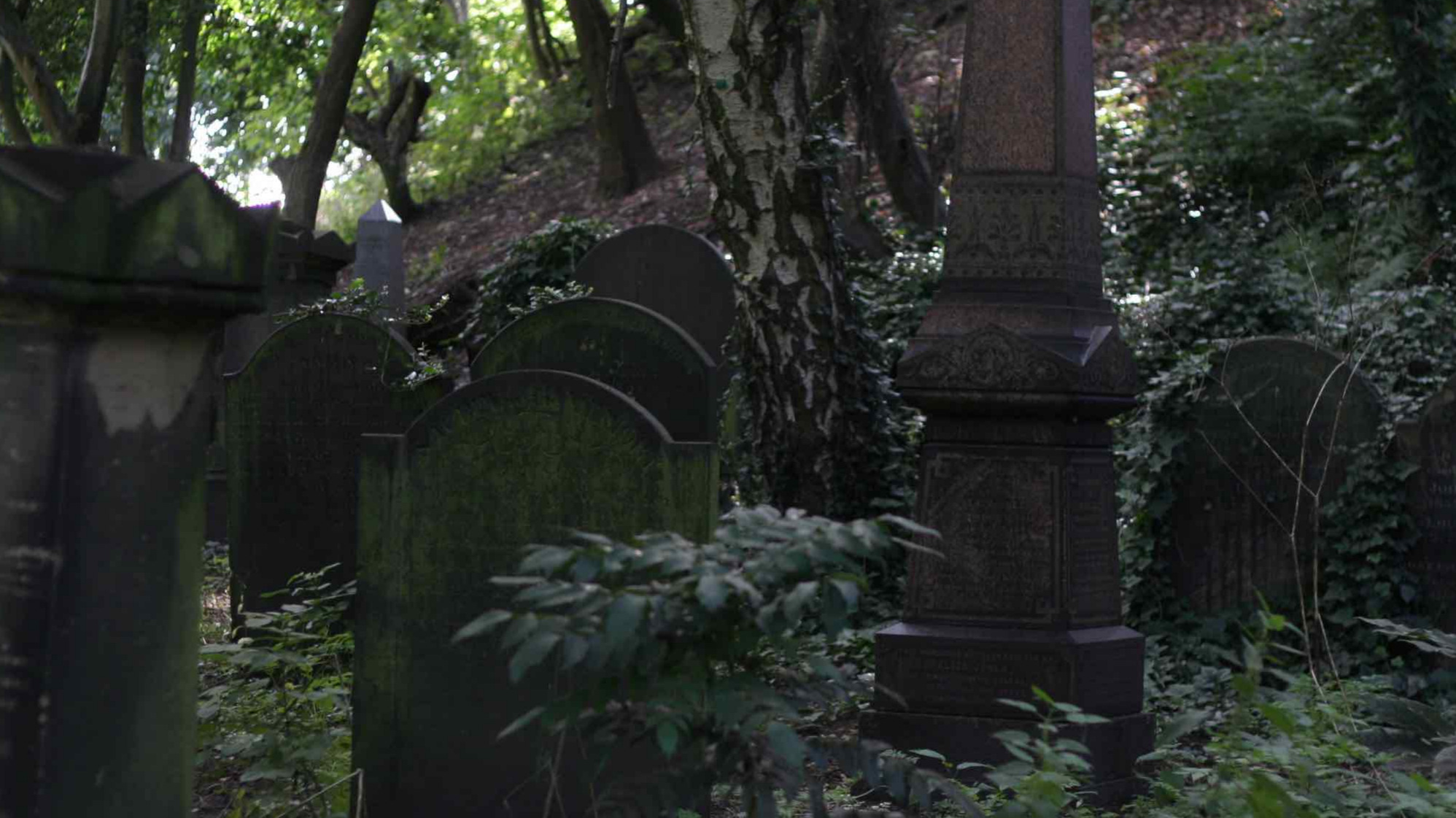 People that didn't quite make it - original pic by me