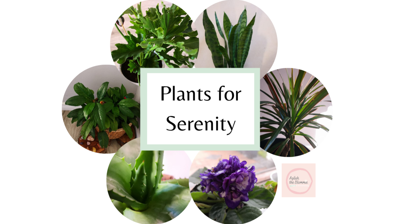 Plants for Serenity