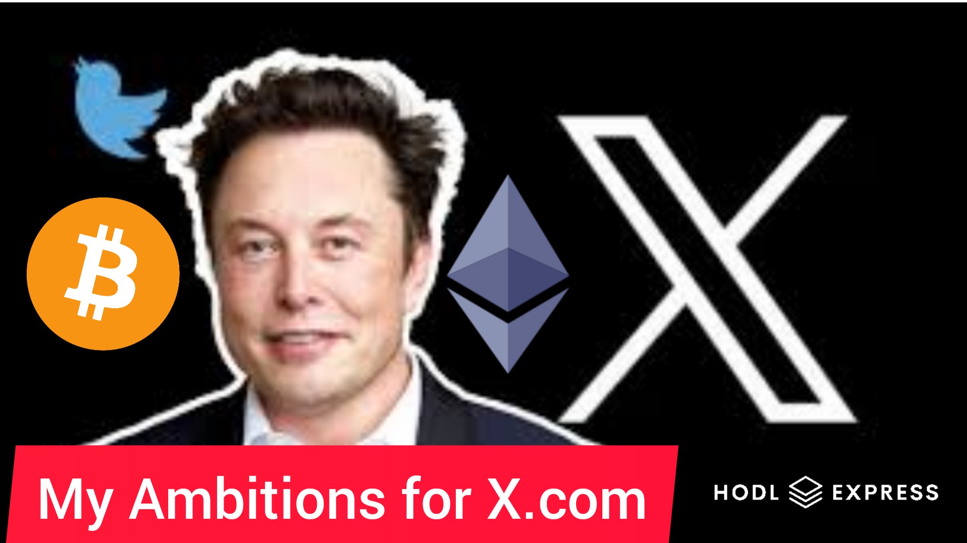 Will Elon Musk's X (Formerly Twitter) Support Cryptocurrency Payments