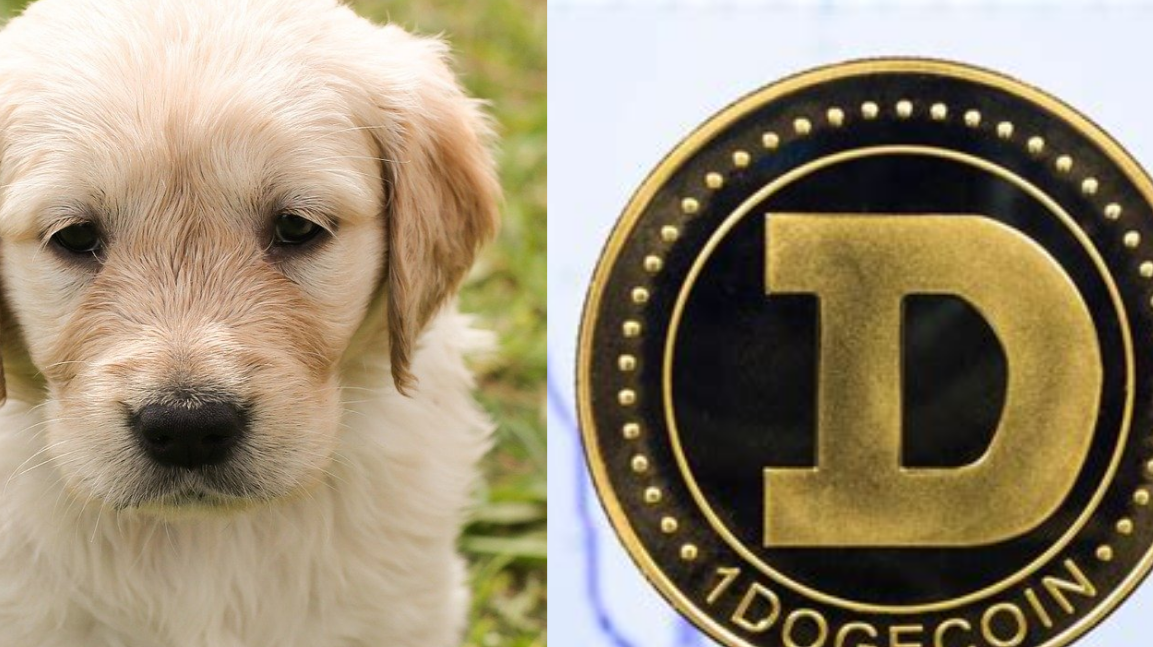A Joke Coin Now Becoming More Serious.