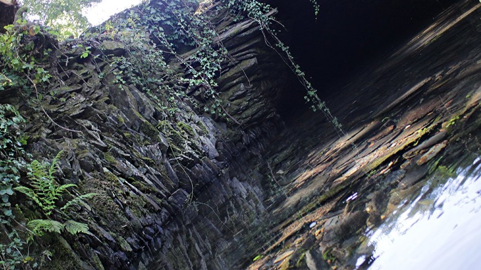 Trip to Azenha Virgin Forest #2 - S.Justa Valongo | Portugal